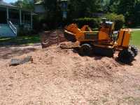 Broadhead & Son Stump Grinding