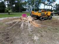 Broadhead & Son Stump Grinding