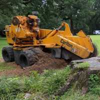 Broadhead & Son Stump Grinding