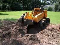 Broadhead & Son Stump Grinding