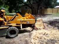 Broadhead & Son Stump Grinding