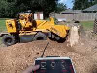 Broadhead & Son Stump Grinding